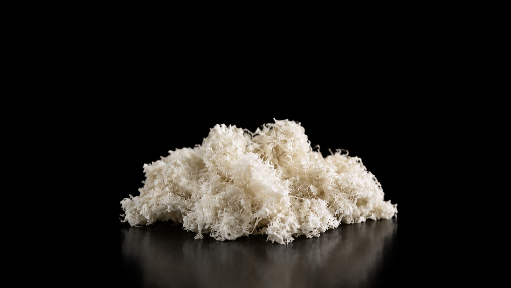 Allocell demineralized bone fiber matrix